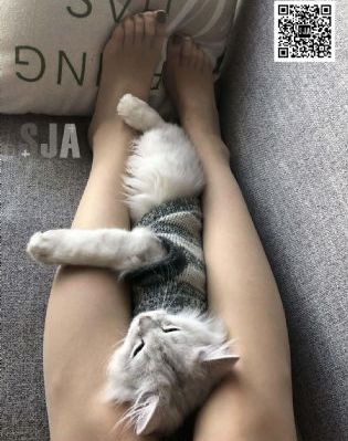 欧美尤物网_1080P免费全集观看